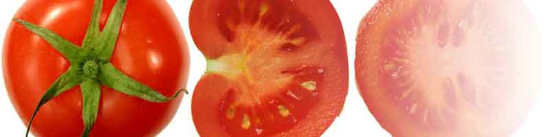 Скоростиглі помідори (томати) мають тривалий період вегетації