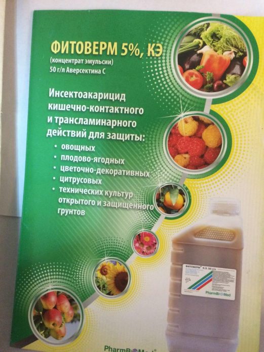 На 100 м2 цибульних грядок потрібно розчин з 16 мл в 4 літрах води