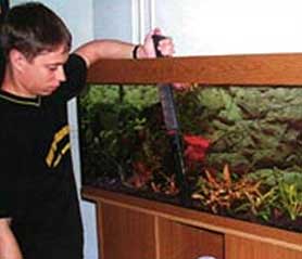 Для того, щоб одночасно з заміною води прибрати з акваріума мул, що накопичується на дні, використовується сифон