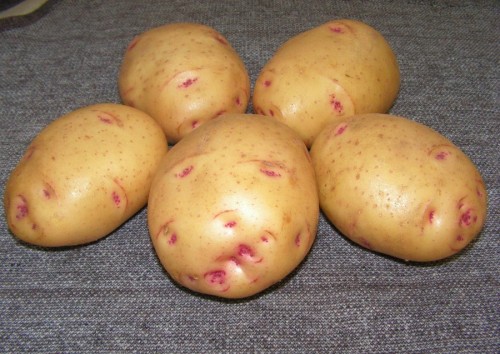 Картопля рання, фото: