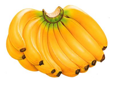 Каротин теж міститься в бананах, і теж допомагає нам довше залишатися молодими, попутно захищаючи від хвороб серця і судин